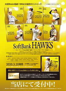 g[fBOminiFuSoftBankz[NX`2020`v BOX i320j