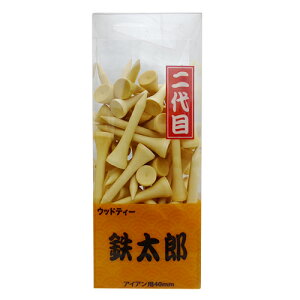 ؃StIWi EbheB[pbN S SY Z495