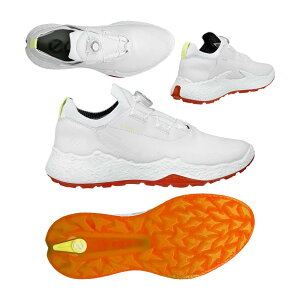 GR[ieccoj BIOM H5 XpCNXV[Y fB[X 115013 i01007jzCg 2025