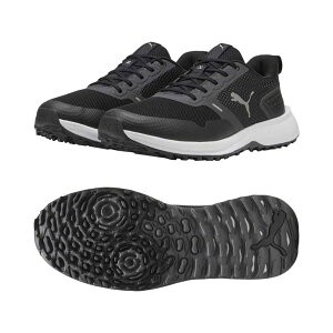 v[}iPUMAj t[WObv6 XpCNXV[Y 310260 (03) 2025