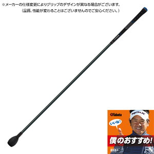 ^o^iTabataj gl[hXeBbNO^Cvin[h^Cvj GV-0231LH