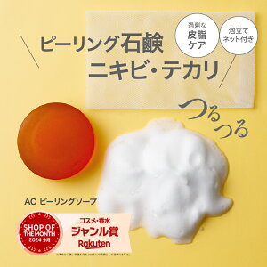 1000~ՂJÒyztďC 啝i@jLs^@AC@s[O\[v s[O pPA ΂ Ό  n[us[O jLr jLr   eJ