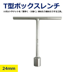 T^{bNX ` 24 tH 蓮H T^  Hp x͔Q ̓{gdl {Hȕ vp z H 24mm  nikken