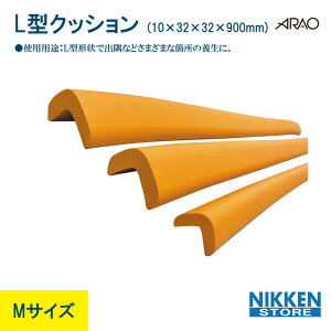 AI L^ NbV MTCY 32mm p 900mm  10mm \t e[vt S NbV AR-0847 L F  o  { IW ӂӂ ANBR Sf ی S Jbg\ y t
