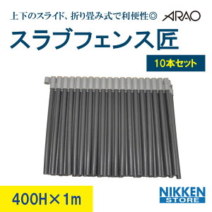 10{ Zbg XutFX  300mm 1m ݃tFX StFX XuJptFX AI AR-2859 J{ z HptFX ptFX {tFX ͂ S 