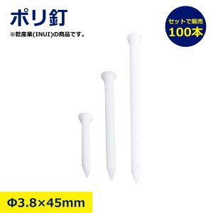 |B 3.8× 45mm 100{  vX`bN B KȂ Y 3.8mm 45mm | y  ~ ^g z vB   z  O H   S  jbP nikken