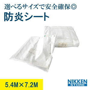 hV[g 5.4m×7.2m 34 5400 7200 5.4m 7.2m V[g h n ډBV[g 450sb` ng 54 72 z  Hp J{ p { V[g p Hp z Ɨpi 