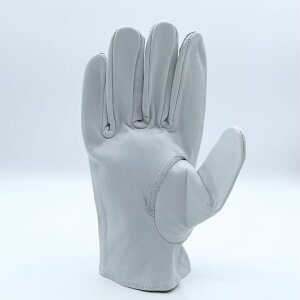 y݌Ɍznڗp  5{w@\@^@y،z@oځ@nځ@nf@ی@z@D@݁@H@H@@g@DIY@K[fjO@AEghA@Lv@΋N@