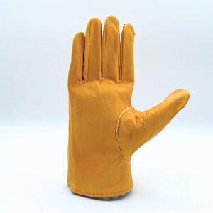 y݌ɌIz NXg@5{w@@^@y،z@oځ@nځ@nf@ی@z@D@݁@H@H@@g@DIY@K[fjO@AEghA@Lv@΋N