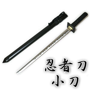  ͑ Eғ  ZS-309 - RXv Ϗܗp CeA yz