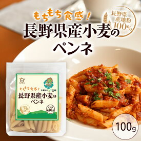 【新発売】長野県産小麦 ペンネ 100g アルクマ 国産パスタ 信州産小麦 国産小麦 ペンネ おすすめ 人気 ご当地パスタ 安心素材 国内製造 パスタ ショートパスタ グラタン サラダ 保存食 贈り物 高品質 本格派 ギフト 国内産 国内製造