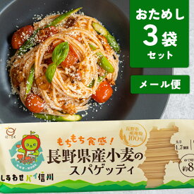アルクマ メール便【おためし】長野県産パスタ スパゲティ 3個セット 長野県産 国内産小麦 もちもち 優しい 本格 イタリア パスタ pasta おいしい 人気 常温 ギフト プチギフト ポッキリ 保存食 ストック お取り寄せ 買い回り 送料無料