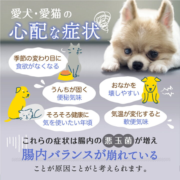 楽天市場 オリゴですっきり 1本 ペット用 オリゴ糖 サプリ 腸内環境 犬 猫 子犬 子猫 成犬 成猫 老犬 老猫 便秘 下痢 軟便 嘔吐 夏バテ 食欲不振 抜け毛 フケ 皮膚炎 無添加 国内製造 サプリメント 食物繊維 イソマルトオリゴ糖 ビフィズス菌 善玉菌 腸内フローラ