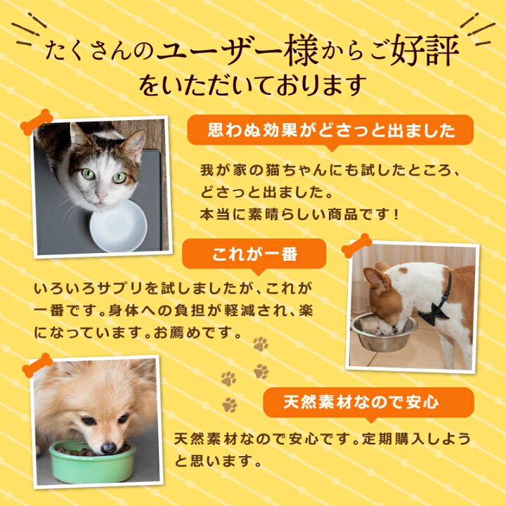 楽天市場】オリゴですっきり 1本 ペット用 オリゴ糖 サプリ 腸内環境 犬 猫 子犬 子猫 成犬 成猫 老犬 老猫 便秘 下痢 軟便 嘔吐 食欲不振 抜け毛 フケ 皮膚炎 無添加 国内製造 サプリメント 食物繊維 ビフィズス菌 善玉菌 腸内フローラ : 日コン 楽天市場】オリゴですっきり 1本 ペット用 オリゴ糖 サプリ 腸内環境 犬 猫 子犬 子猫 成犬 成猫 老犬 老猫 便秘 下痢 軟便 嘔吐 食欲不振 抜け毛 フケ 皮膚炎 無添加 国内製造 サプリメント 食物繊維 ビフィズス菌 善玉菌 腸内フローラ : 日コン
