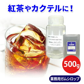 ガムシロップ 業務用 お徳用 ハイフラクトM75C サンプル 500g 果糖ブドウ糖液糖