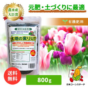 R L@엿 n̎UT 800g