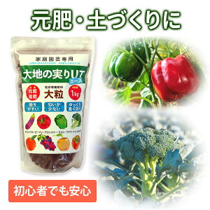 R L@엿 n̎UT G[X 嗱 1kg
