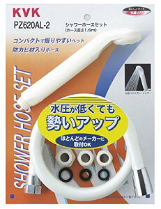 KVK oXpV[Zbg yPZ620AL-2z @