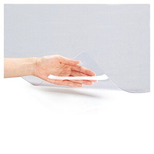 vX fXN}bg   GRm~[^Cv 600×450mm 41-008 @