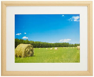 FUJICOLOR z YM-3 AN ؒn A4 ؐ x[W 22468 @