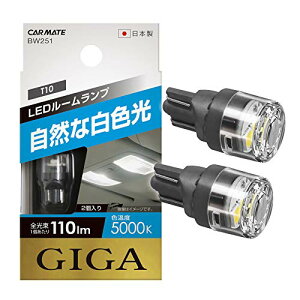 J[Cg ԗp LED [v GIGA RȔF T10 5000K 110lm 2 BW251 @