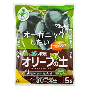 I[u̓y 5L Ԃ ԋʓy RRibct@Co[ Ca  |{y