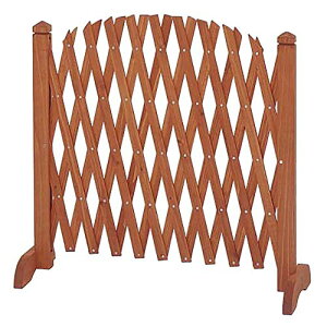 [�K�[�f���}�X�^�[] �A�R�[�f�B�I�����e�B�X ��38-120×���s30×����73cm �L�k�^�C�v ������ �V�R�ؐ��� �՗� �p�[�e�[�V �����@����