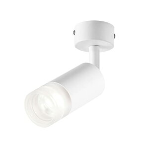 LEDX|bgCg d10Wi75Wj 1000LM F 5000K uPbgCg V[OCg t LED