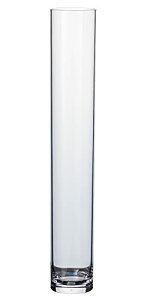 FOYER ����Ȃ� �ԕr �t�����[�x�[�X �|���J�[�{�l�[�g ������� ���� 60 cm �� 10 cm �傫�� 2300034