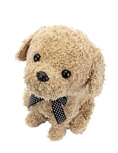 ZKgCYSEGA TOYS RR  AvRbg