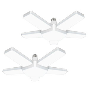 K[WCg 5  Ɩ 100WƓ y_gCg 6500K V[OCg tȒP d Hsv px߉\