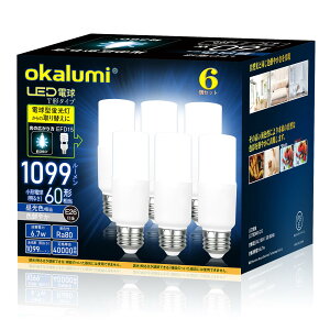 E6ALUM D�d�� �`�^�C�v �������a6mm 60w 100w�`���� �����F 1099���[���� 6.7W ��ʓd���E�`�^�C�v �����Ή� 6