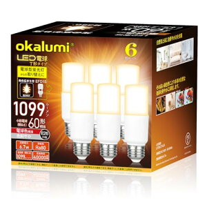 E6ALUM D�d�� �`�^�C�v �������a6mm 60w/100w�`���� �d���F 1099���[���� 6.7W ��ʓd���E�`�^�C�v �����Ή� 6