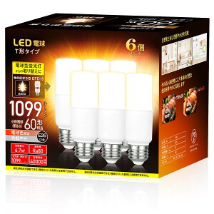 D�d�� �`�^�C�v �������a6mm 60w 100w�`���� �d���F 1099���[���� 6.7W ��ʓd���E�`�^�C�v �����Ή� 6�Z�b�g