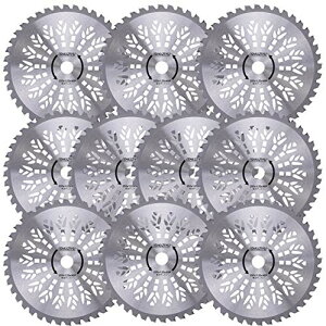 SHUZYU @p`bv\[55x40P 10g