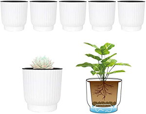 4U 10CM 給水プランター プラスチック 植木鉢 現代風 観葉植物鉢 ハーブ鉢 花鉢 ホワイト 6点セットインテイア 室内 給水ひも付き
