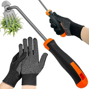 COZENRE G 蓹 GuV c[ 蓮c[  K[fjOpi p GƔ 뉀AA