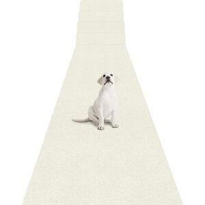 �L�� �J�[�y�b�g �z�� �L���~�� 60×600cm ����4 mm Boler �����O�J�[�y�b�g �Y���Ȃ� �􂦂� ���� ������� ���n �J�[�y�b