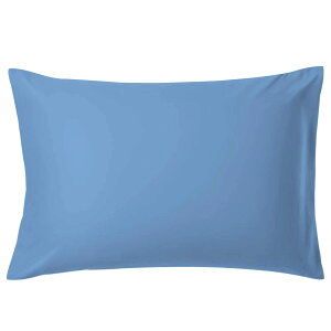 Jo[ 100 STCYs[P[X zei xI[hu[ 43*63cm̖ɓKp