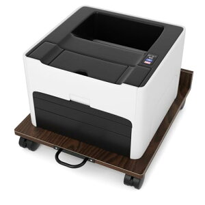 DEWE v^[ p\RbN PUX^h 4×s46cm LX^[t ω׏d30kg t fXN [^Cv P