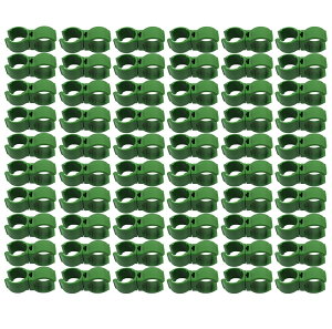 60 xNbv ؉NXoh UNbv WCg |pi ؉ A Œ pxR p[c gݗāiO[j