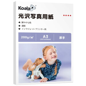 Koala ʐ^p ꂢȌ 0.3mm  A3 50 00GM Жʈ CN CNWFbgv^[p