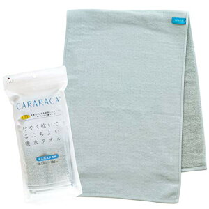 IJA ~joX^I xǍDJJ 34c×100c O[ z  xǍD RۖhL 4548622805611