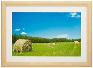 FUCOLOR z YM3 AN ؒn Ch6 ؐ x[W 22463