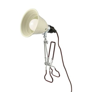 _gDulton A~jE Nbv v S AC{[ 炩ȌNbvv RZg Be  VORY {̒