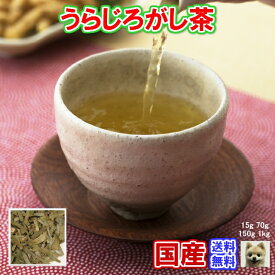 ウラジロガシ茶 うらじろがし茶 国産 健康茶 ウラジロガシ 流石「新鮮パック」送料無料【国産 茶葉】お茶 健康茶 おすすめ お買い得 ハーブティー うらじろがし茶 通販 通信販売 ネット販売 解石茶 流石茶 徳用 業務用 真空パック メガ盛り お試し サンプル 100 1k