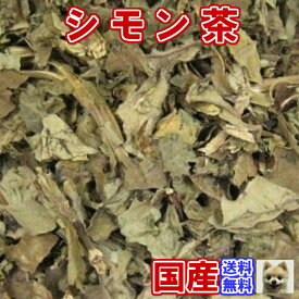 健康茶「国産」シモン茶（お試しパック15g）【メール便送料無料】お茶 健康茶 ハーブティー 通販 通信販売 ネット販売 国産 シモン芋 しもん茶 送料無料 お試し サンプル