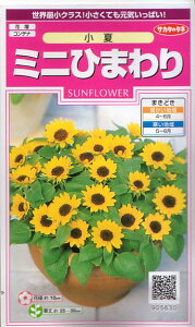 TJ^̃^l@~jЂ܂E yXΉz