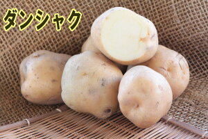 yWKCE킢zu_VNij݁jv̎킶Ⴊ@500gytWKCp12{`2{z