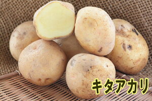 yWKCE킢zuviL^AJj̎킶Ⴊ@500gytWKCp12{`2{z